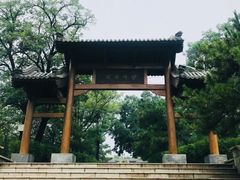 -阳台山自然风景区