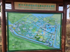 -泗洪洪泽湖湿地景区