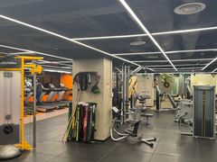 -健身专家Wellness Experts