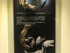 -世界恐龙谷景区