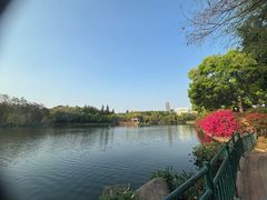 -深圳龙潭公园