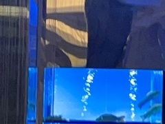 -王家渡火锅店(棕榈泉店)