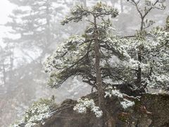 -尧山风景区