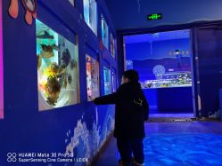 点击看大图 -七巧国萌宠乐园(龙湖天街店)