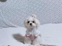 -渝味川菜(夜宵航母店)