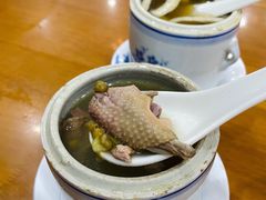 陈皮绿豆乳鸽汤-煲煲掂风味煲仔饭餐厅(西区店)