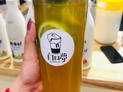 -白日梦奶茶