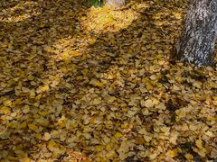 -东钱湖旅游度假区