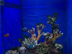 -多彩贵州城极地海洋世界