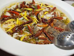 二人份酸菜鱼-太二酸菜鱼(沈阳万象城店)
