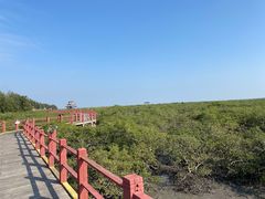 -北海金海湾红树林生态旅游区