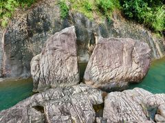 -广州白江湖森林公园