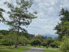 -中国科学院西双版纳热带植物园