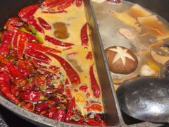 -大龙燚·旷野鲜火锅(广州首店)