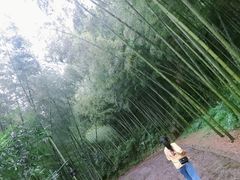 -黄公望隐居地