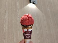 -哈根达斯(上海金山店)