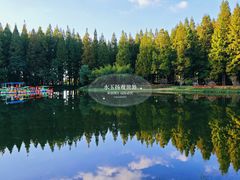 -黄海国家森林公园