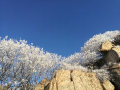 -泰山风景名胜区