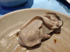 -千岛蚝高压锅生蚝·人参火锅(白云万达店)