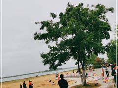 -金沙湖旅游度假区