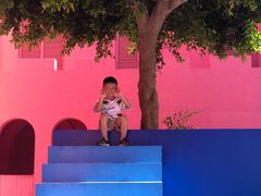 -漳州滨海火山岛自然生态风景区