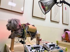 -美联众合动物医院·24h转诊中心