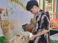 -灵玲国际马戏城