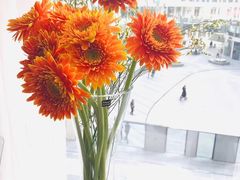 -有家生煎(三里屯店)