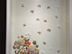 -青岛贝壳博物馆