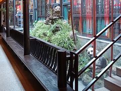 -鸡毛店·川菜(李家沱店)