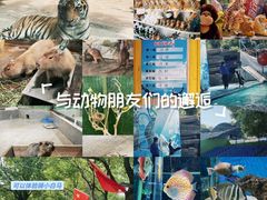 -荆州中山公园动物园