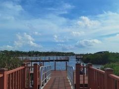 -芒洲湿地公园