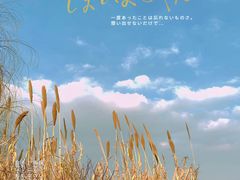 -阳澄湖半岛旅游度假区
