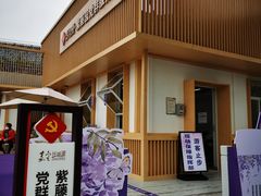 -嘉定紫藤园