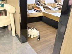 -澜悦汇推拿足道(蓝村路店)