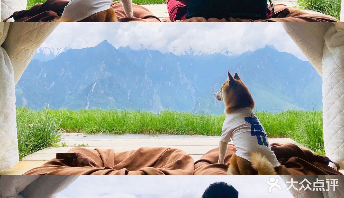 成都周边游｜浮云牧场☁️☁️☁️