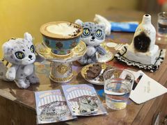 -青藏高原野生动物园