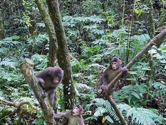 -西岭雪山大飞水景区