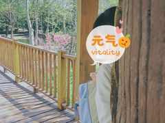 -石家庄市植物园