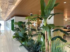 -朵云书院(滴水湖店)