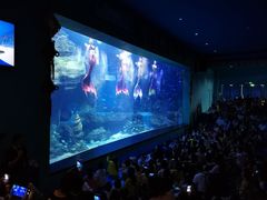 -多彩贵州城极地海洋世界