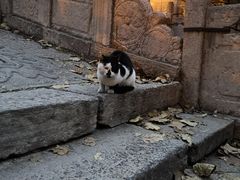 -西安化觉巷清真大寺