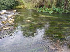 -贵阳市花溪国家城市湿地公园