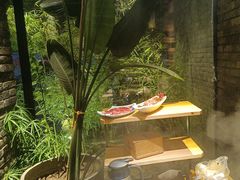 -蓉客成都火锅·招牌麻辣牛杂·特色香辣蹄花(凌水店)