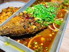 香辣炝锅鱼-树厨贵州菜(大十字店)
