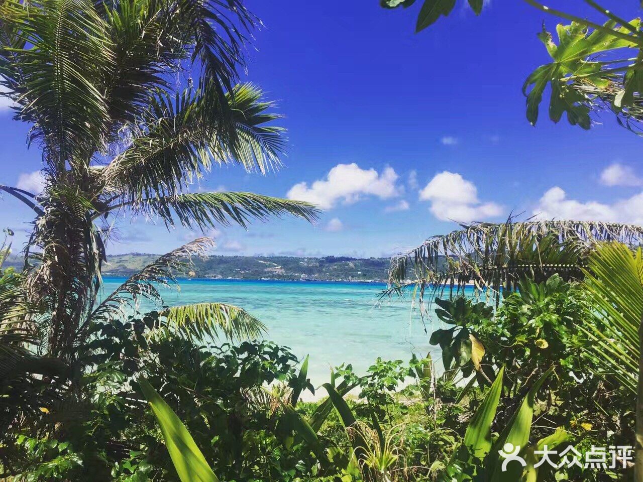 天晴时阳光下海水碧绿,非常美。岛上有专供浮潜的地方