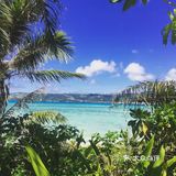 天晴时阳光下海水碧绿,非常美。岛上有专供浮潜的地方