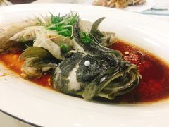 清蒸龙胆石斑鱼-鑫悦楼煎蟹·16年海鲜大排档