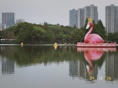 -青枫公园