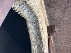 -阿尔罕布拉宫